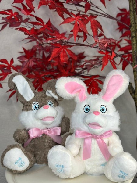 دب أرنب مع حركات (بطاريه)