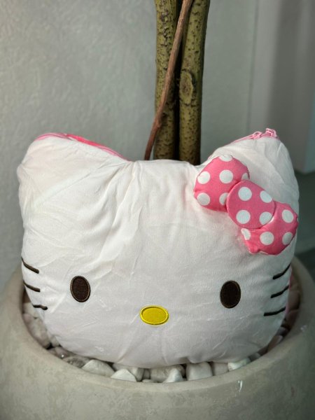 مخده مع حرام ديزني هلوكيتي