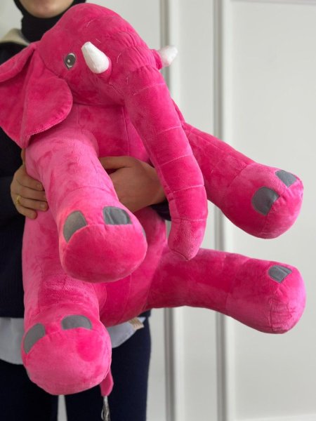 دب فيل كبير