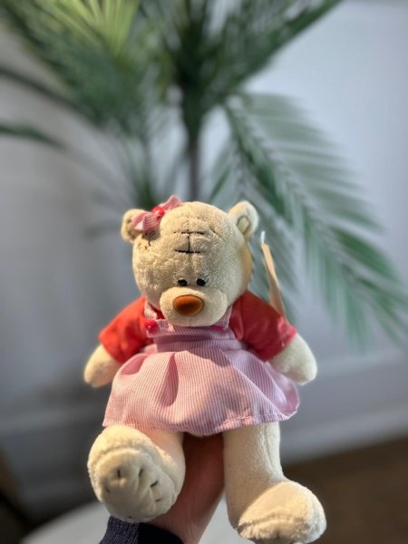 دب تيدي صغير