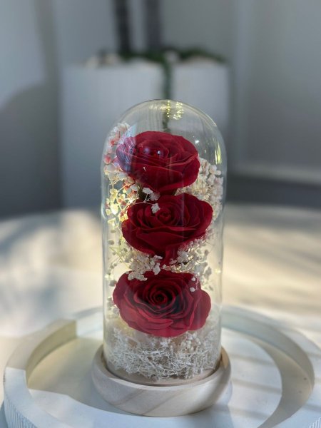 تحفة وردة زجاج مضيئه أحمر