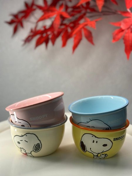 صحن مجور _SNOOPY