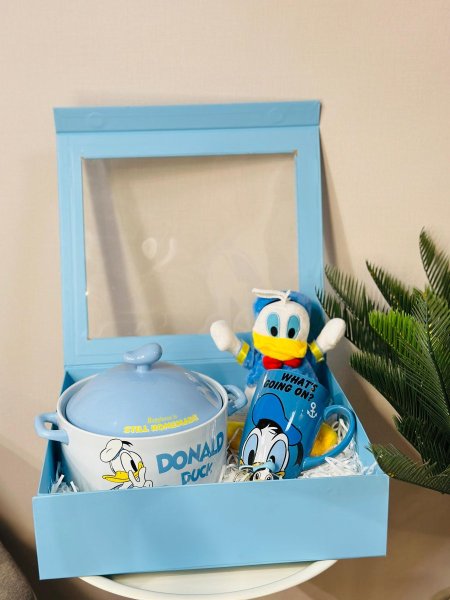 صندوق تركيب شفاف كبير (37*32*10سم)