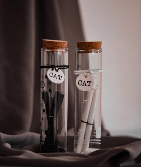 علب رسائل زجاج صغير (Cat)