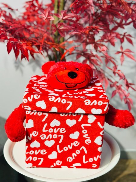 صندوق تركيب فرو دب 25cm*25cm