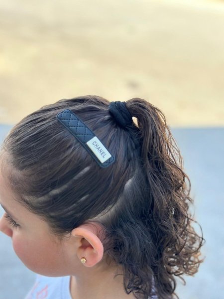 31.مكبس شعر شانيل (20 قطعه )