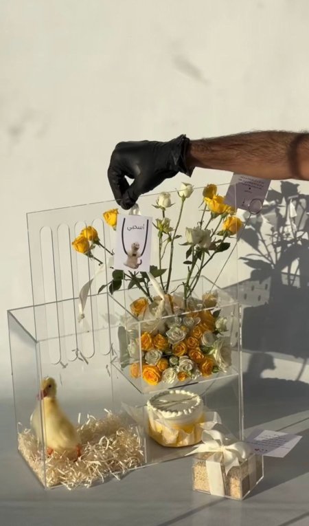 صندوق اكروليك للعصافير مع قوارة