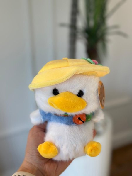 دب صغير حبيبات تعليقة (20سم) بطه طاقية